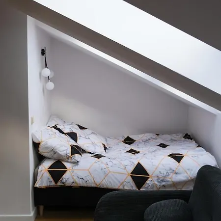 Apartament Nad Czarnym Potokiem Krynica-Zdrój Esterno foto