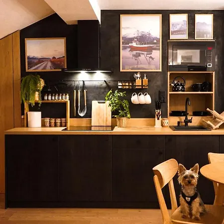 Apartament Nad Czarnym Potokiem Krynica-Zdrój Esterno foto