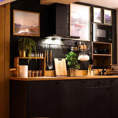 Apartament Nad Czarnym Potokiem Krynica-Zdrój Esterno foto