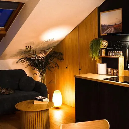 Apartament Nad Czarnym Potokiem Krynica-Zdrój Esterno foto