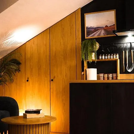 Apartament Nad Czarnym Potokiem Krynica-Zdrój Esterno foto
