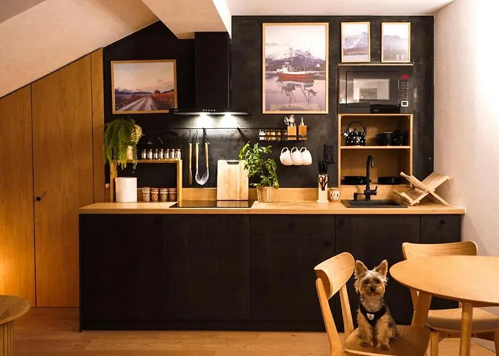 Apartament Nad Czarnym Potokiem